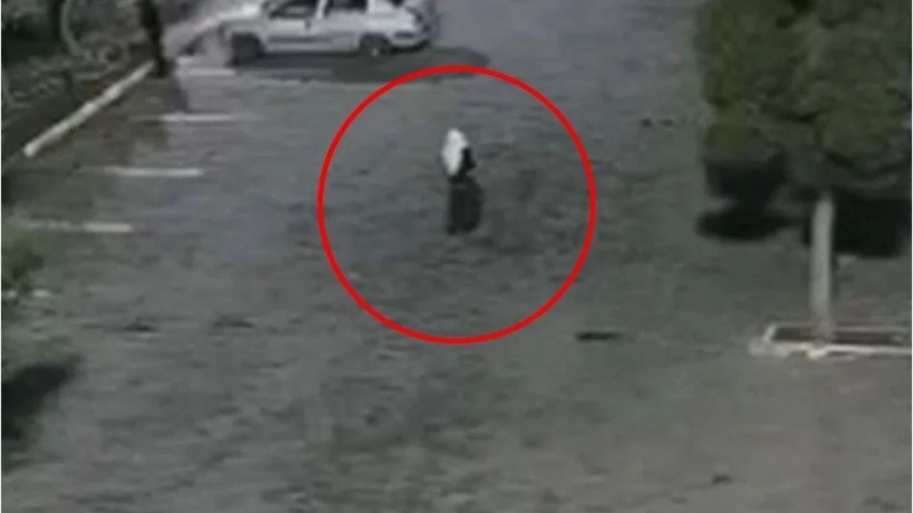 Bukalemun Kadın Kıyafetiyle Suçüstü Yakalandı Mı - Yazar Kadın
