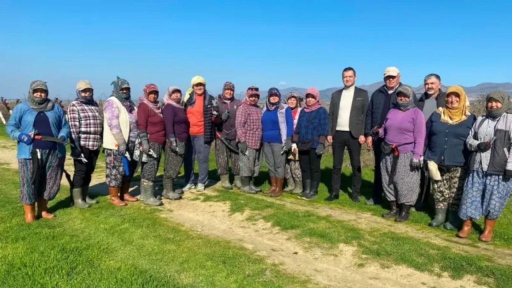 Erkek İşine Kadın Eli Değdi Manisa’da Bağ Budama İşinde Kadın Başarısı - Yazar Kadın