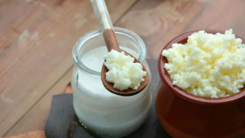 Kefir Nasıl Yapılır Evde Kefir Üretmenin Püf Noktaları - Yazar Kadın