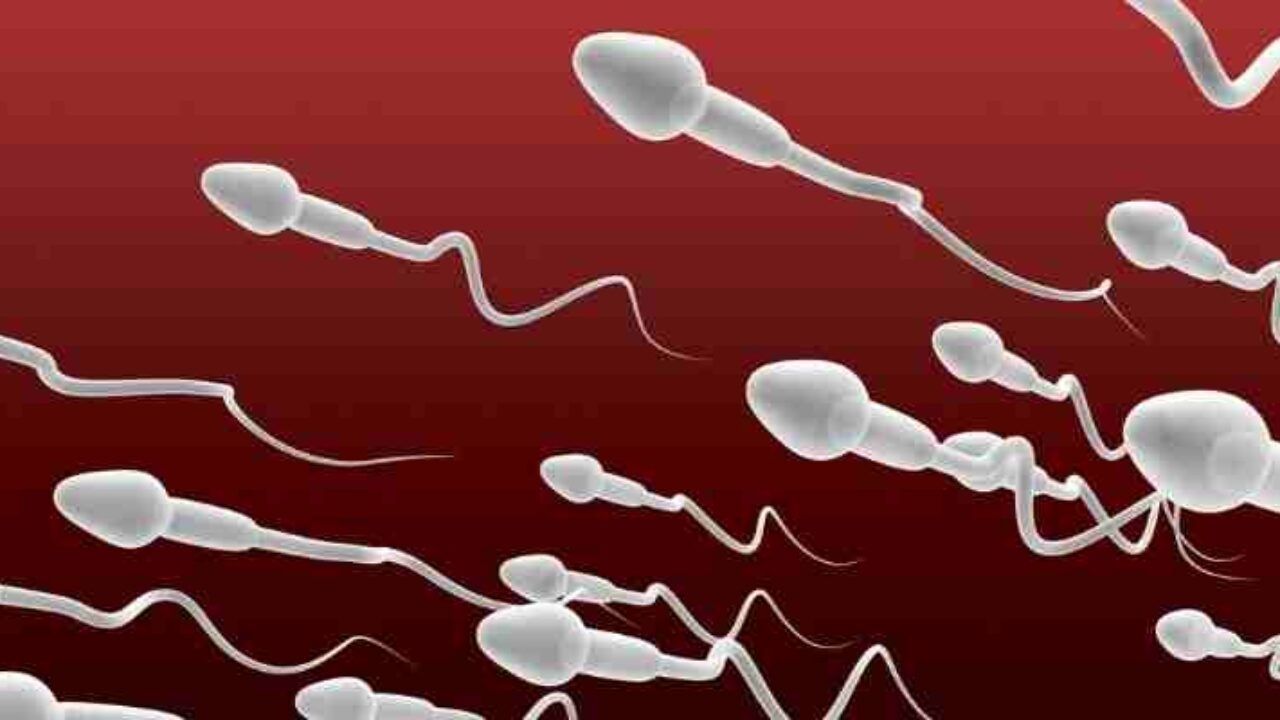Sperm Sayısı Ve Kalitesi Neden Önemlidir - Yazar Kadın