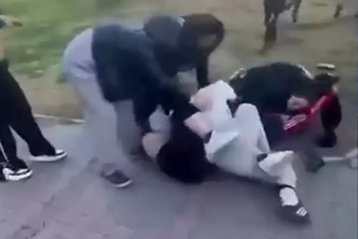 Parkta Kizlar Birbirine Girdi Arkadaslari 18403283 1570 Amp - Yazar Kadın