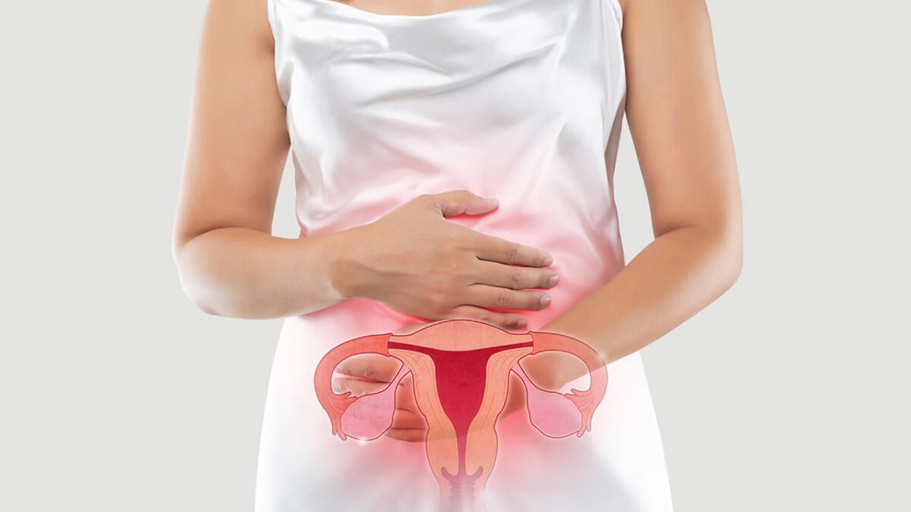 Endometriozis Nedir Belirtileri Ve Tanı Süreci - Yazar Kadın