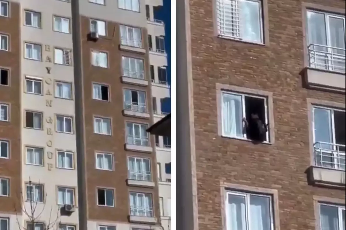 Polis Intihara Kalkisan Genc Kizi Son Anda 18447412 3959 Amp - Yazar Kadın