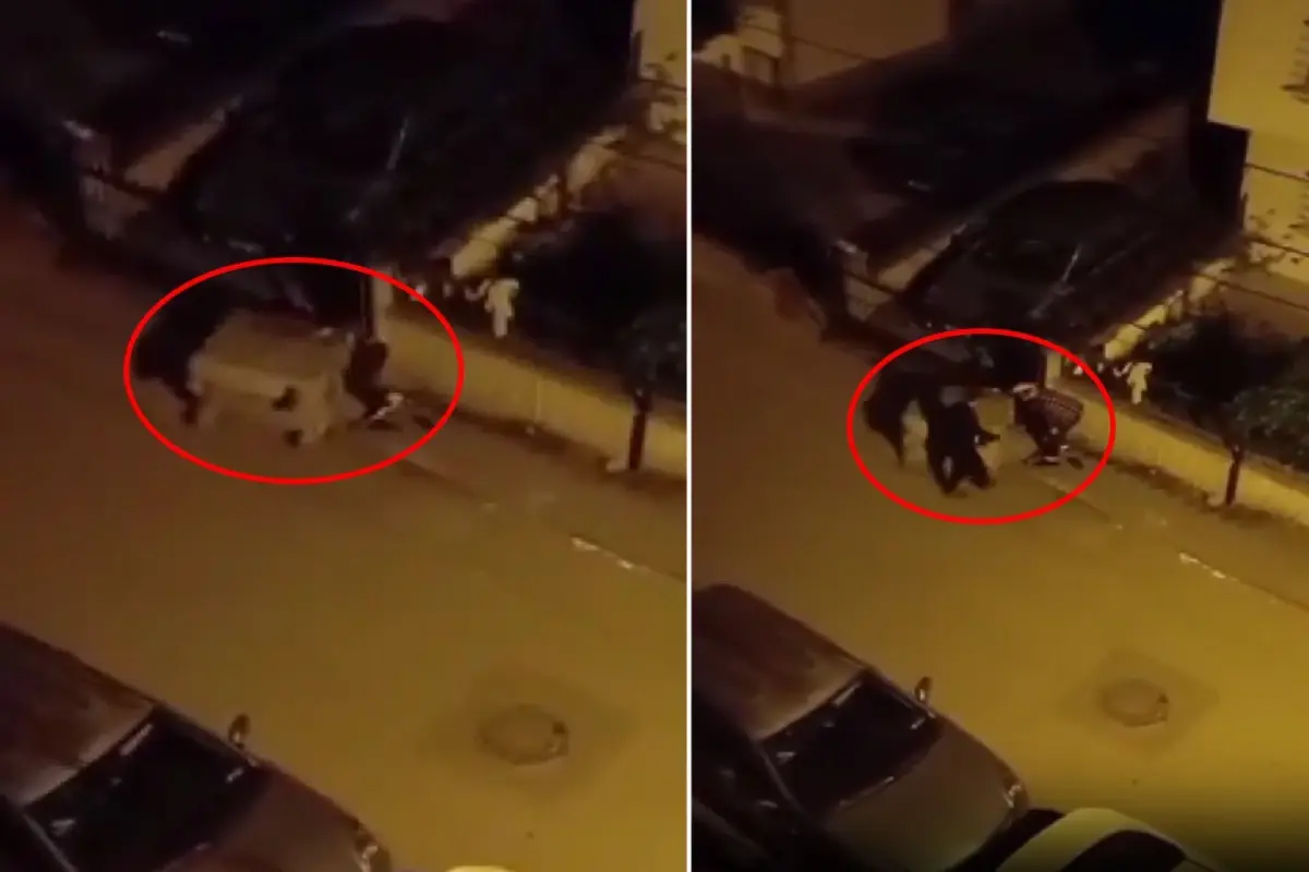 Kagit Toplayan Kadinin Ustune Cop Konteyneri 18560876 387 Amp - Yazar Kadın