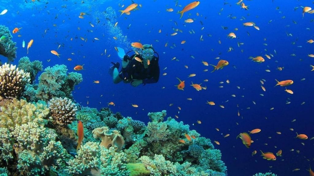 Kaş'ta Su Altı Keşifleri Dalış İçin En İyi Noktalar - Yazar Kadın