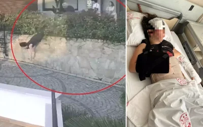 Doktorun ittiği kadın komşusunu yaraladı, kavga kanlı bitti