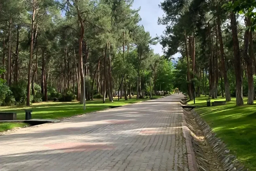 Parkta Oturan Genc Kizlari Once Takip Sonra Taciz 18796407 6681 Amp - Yazar Kadın