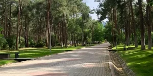 Parkta oturan genç kızları takip edip taciz etti.