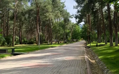 Parkta oturan genç kızları takip edip taciz etti.