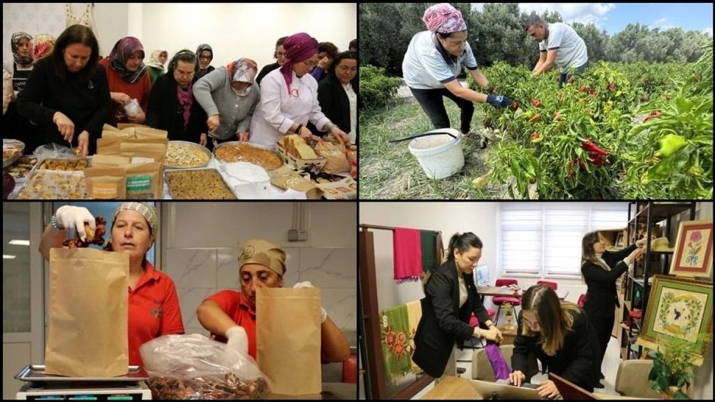 Kadın Kooperatiflerine 2024 Yılında 24,8 Milyon Liralık Hibe Desteği - Yazar Kadın