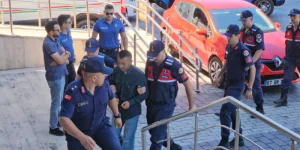 Babaanne, torunlarını dövdükleri için kardeşini bıçakladı