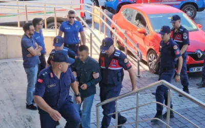 Babaanne, torunlarını dövdükleri için kardeşini bıçakladı