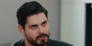 Gelin dizisi final bölümüyle sona mı erdi?