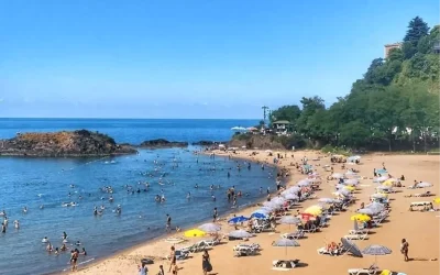 Giresun Plajlarındaki Deniz Suyu Temiz Bulundu