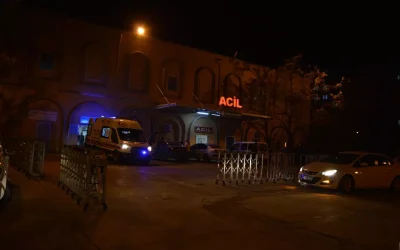 Mardin’de 12 Yaşındaki Kız Çocuğu Kaya Düşmesi Sonucu Hayatını Kaybetti