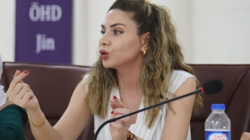 Mardin’de 8 Ayda 3 Kadın Cinayeti, 23 Şüpheli Ölüm “artık Fail Yok” - Yazar Kadın