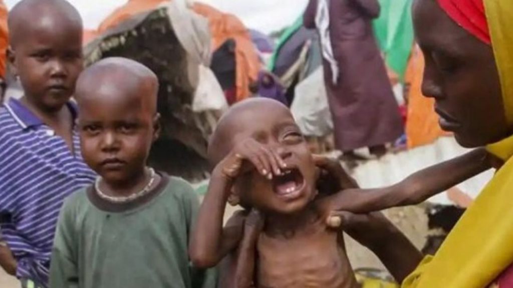 Sudan'da 25 Milyon Kişi Gıda Güvensizliği Tehlikesiyle - Yazar Kadın