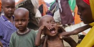Sudan’da 25 Milyon Kişi Gıda Güvensizliği Tehlikesiyle