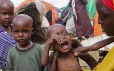 Sudan’da 25 Milyon Kişi Gıda Güvensizliği Tehlikesiyle