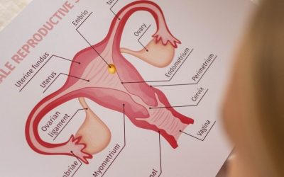 Vajinada Yağ Bezesi Neden Oluşur? Uzman Görüşleriyle Açıklıyoruz