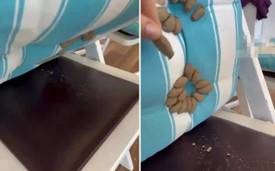 Minderi kaldıran kadın, ürkütücü bir manzara gördü.
