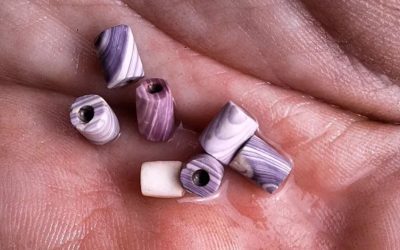 30 Yıllık Arkeolojik Kazıda İlk Kez Ortaya Çıktı