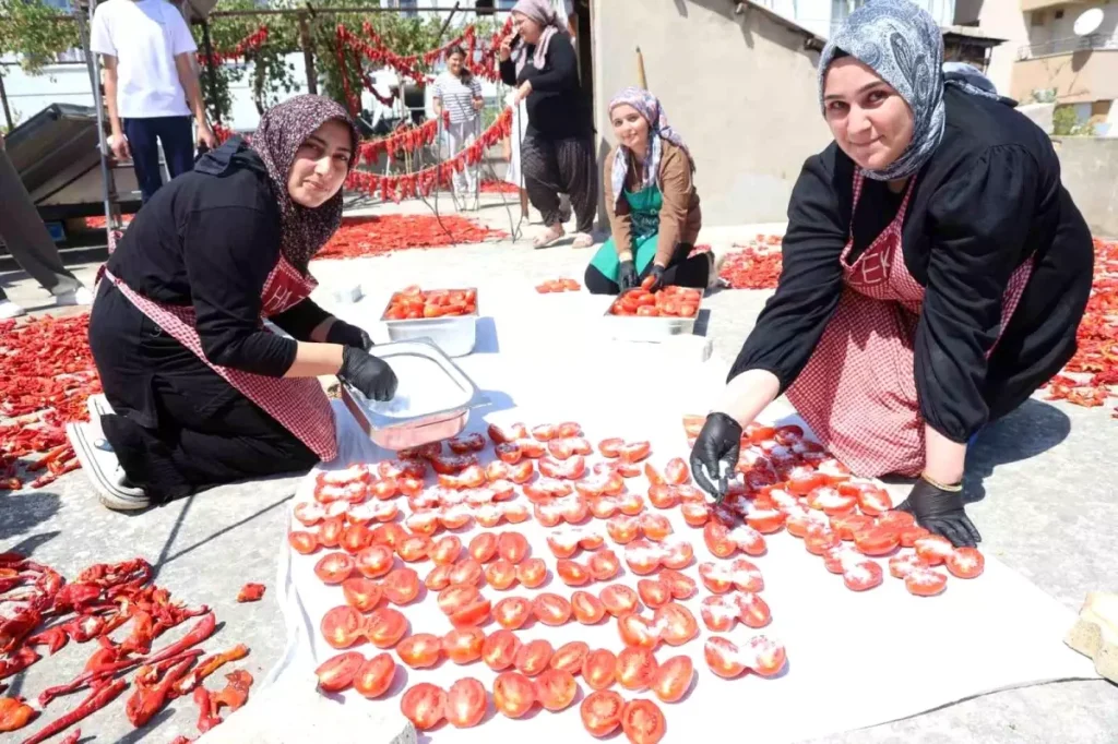 Afetzede Kadinlarin Kuruttugu Domatesler Kis 19048590 Amp - Yazar Kadın