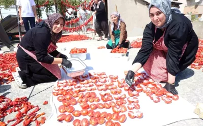 Afetzede Kadınlar Domates Kuru Üretimiyle Ekonomiye Destek Oluyor