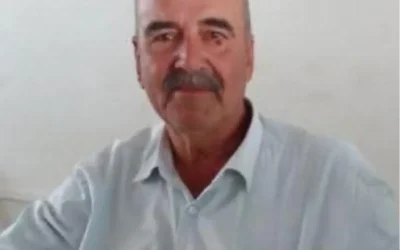 Aydın’da Arı Sokması Alerjisi Nedeniyle Çiftçi Öldü