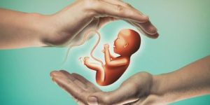 Tüp Bebek Tedavisi Ücretleri: Neleri Etkiler, Hangi Faktörler Önemli?