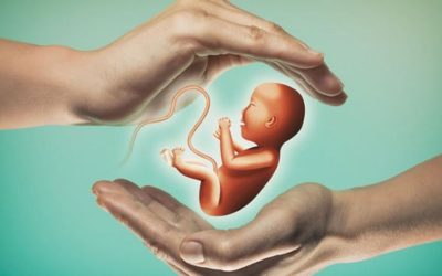 Tüp Bebek Tedavisi Ücretleri: Neleri Etkiler, Hangi Faktörler Önemli?