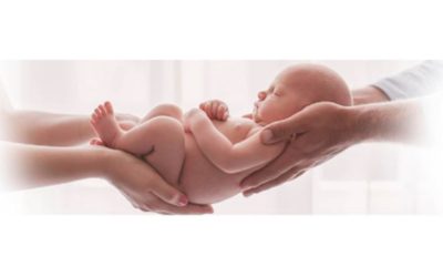 Tüp Bebek Tedavisi: Umuda Açılan Bilimsel Bir Yolculuk