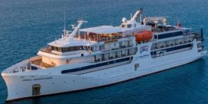 Yolcu gemisinin adada unuttuğu 80 yaşındaki kadın ölü bulundu