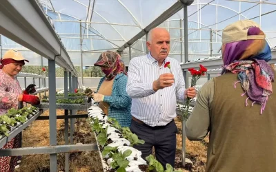 Manavgat’ta Kadın Çiftçilere Özel Kutlama