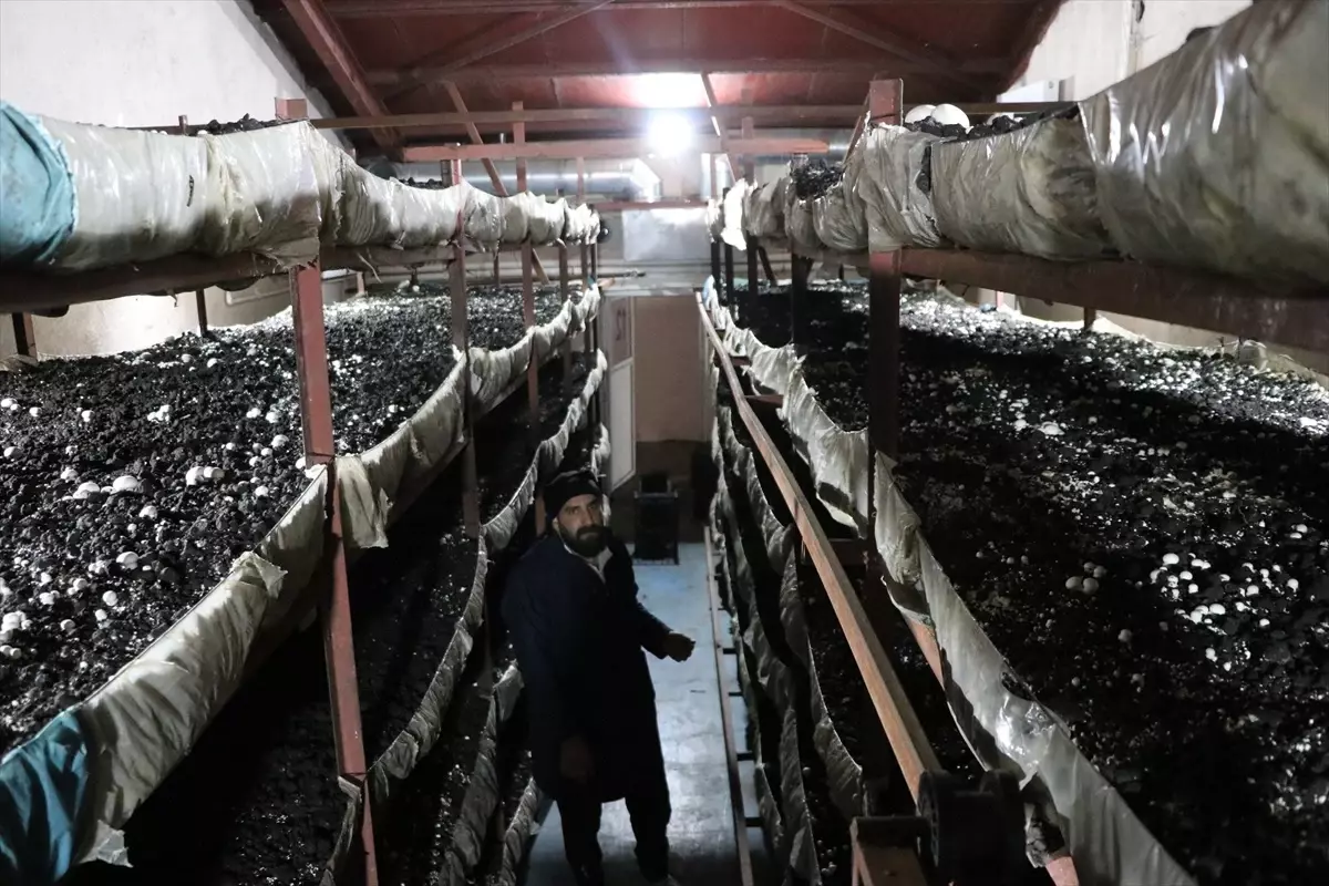 Kadin Girisimci Devlet Destegiyle Kurdugu Tes 19149653 Amp - Yazar Kadın