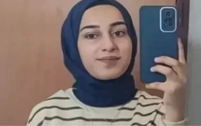 Rojin Kabaiş olayı ve ölüm nedeni hakkında bilgi verir misiniz?