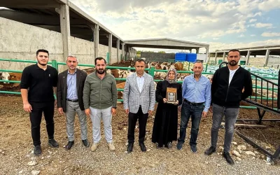 Hafure Adak: Kadın Girişimcinin Başarı Hikayesi