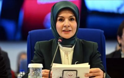 Bakan Göktaş, TBMM Plan ve Bütçe Komisyonunda soruları cevapladı