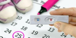 Kadınlarda Yumurtlama Dönemini Kolayca Hesaplama Yöntemleri