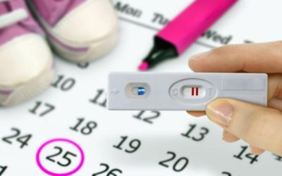 Kadınlarda Yumurtlama Dönemini Kolayca Hesaplama Yöntemleri