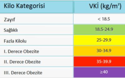 Obezite Kadınlarda Kaç Kilodan İtibaren Başlar? Bilmeniz Gerekenler