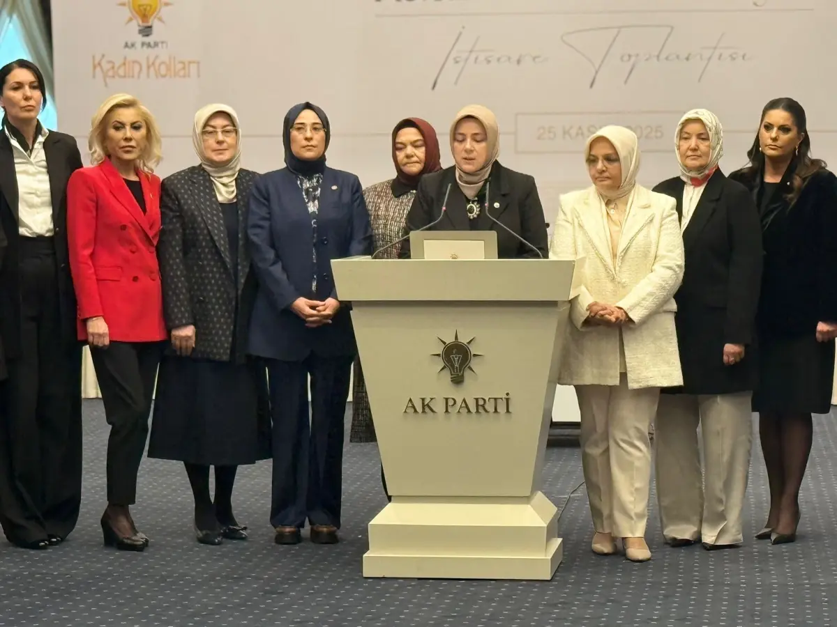 Ak Parti Li Ercan Kadina Siddetle Mucadele Ak 19289847 Amp - Yazar Kadın