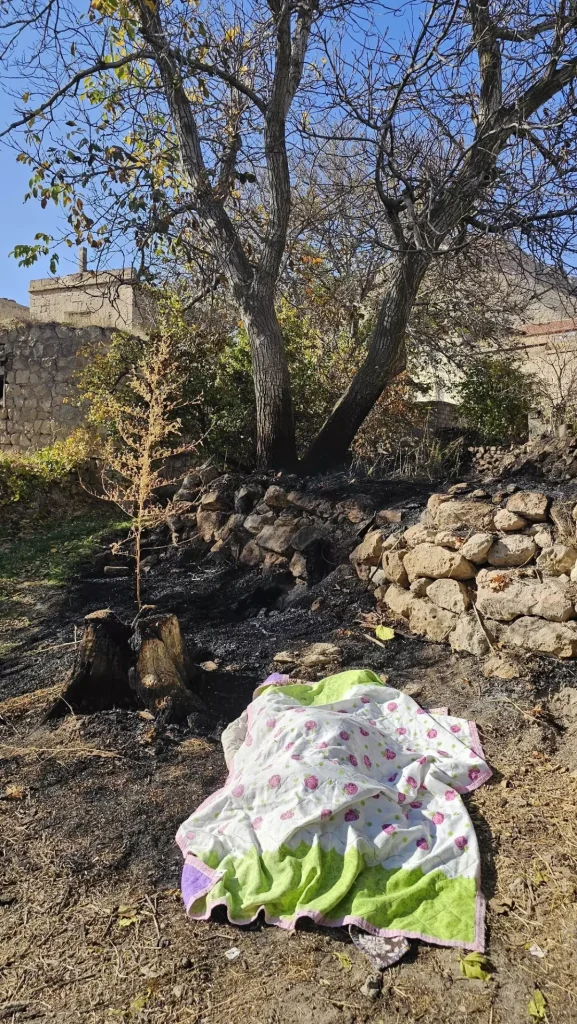 Bahcesindeki Otlari Yakarken Alevlerin Arasin 19235900 Amp - Yazar Kadın