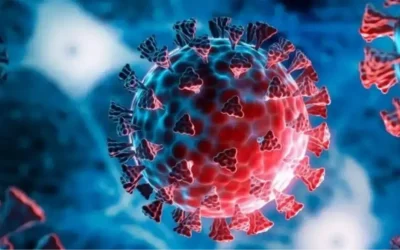 H3N2 Virüsü: Tehlike Arz Ediyor mu? Belirtileri ve Bulaşıcılığı Hakkında Bilgiler
