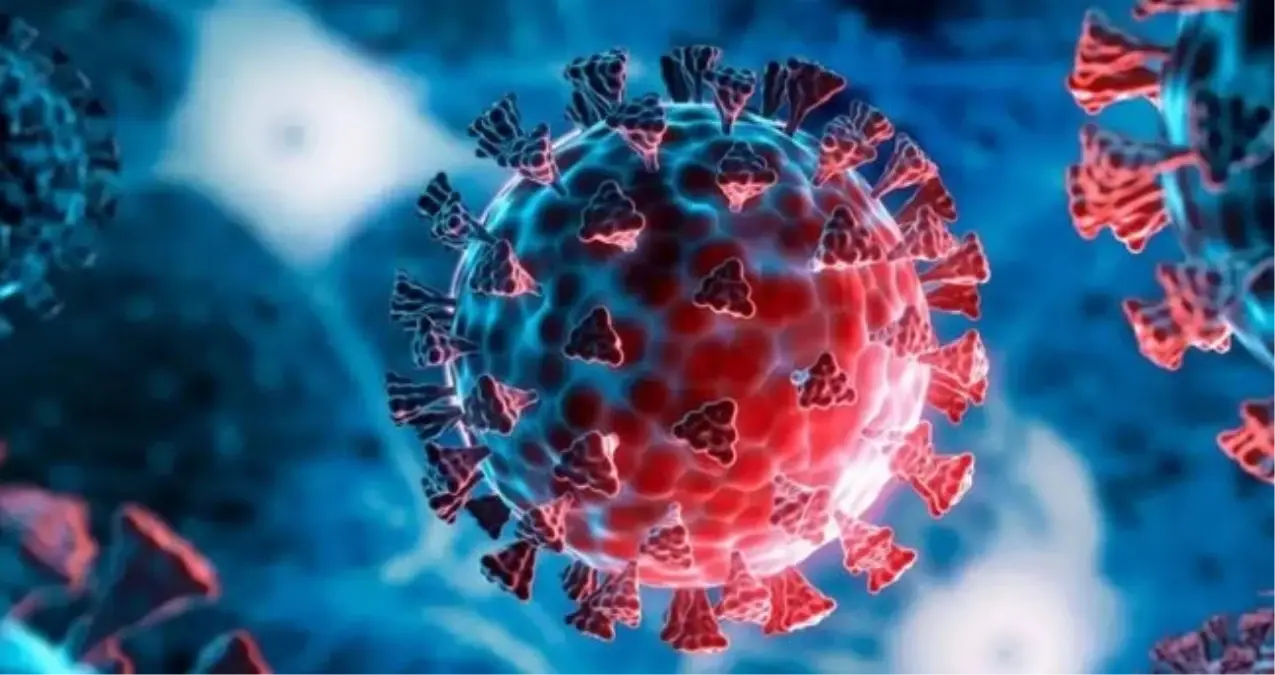 H3n2 Virusu Nedir Tehlikeli Mi Yeni Virus H3n2 19252229 1375 Amp - Yazar Kadın