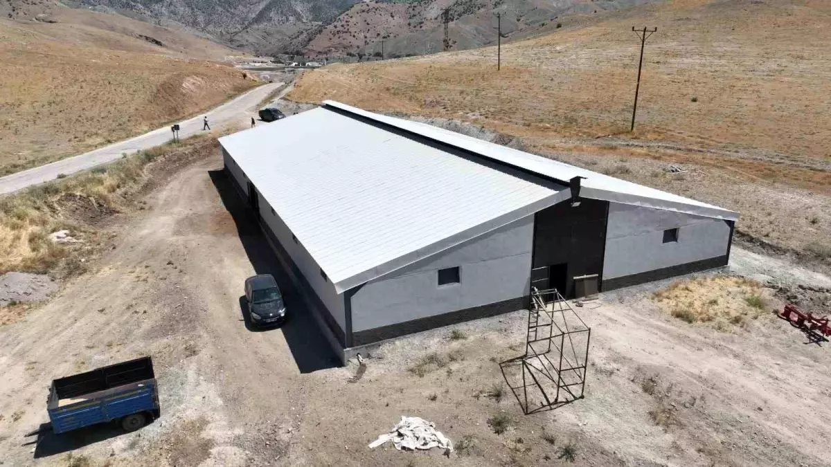 Tunceli De Tarim Yatirimlari Ikiye Katlandi 19234504 Amp - Yazar Kadın