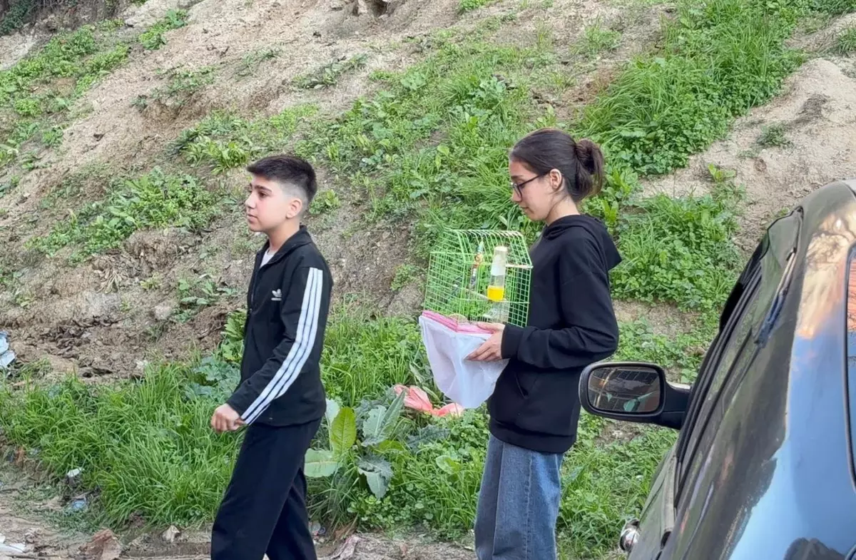 Yanginda Dumanin Kapladigi Apartmandaki Evler 19257214 Amp - Yazar Kadın