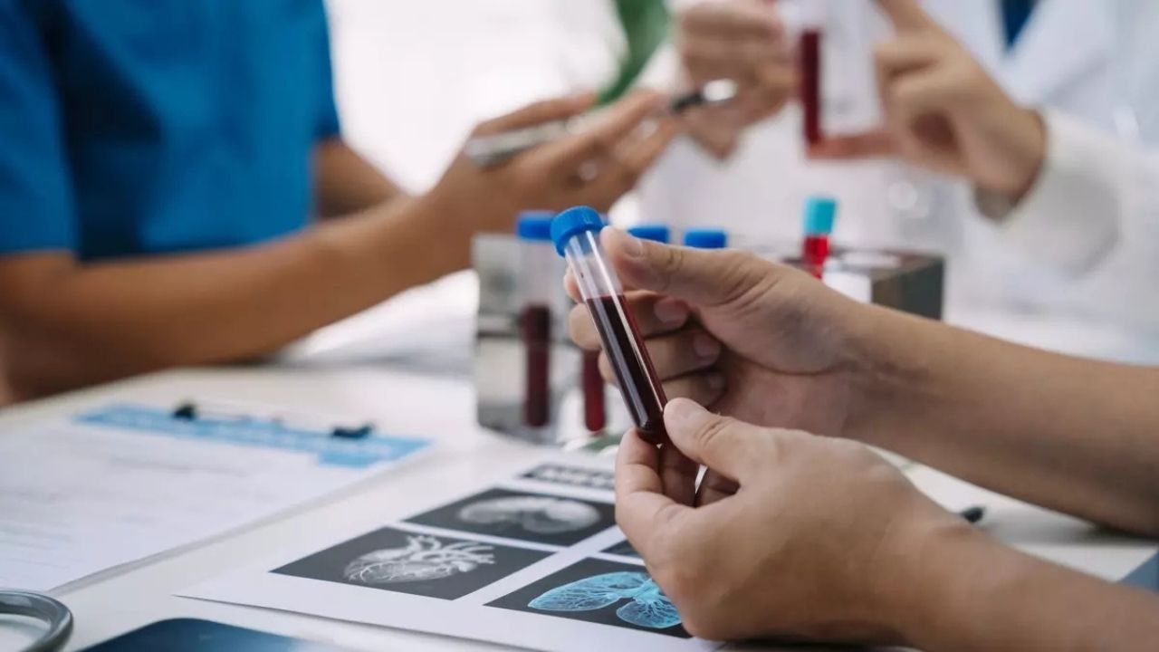 Japonya'da Zeka Fışkıran Kan Grubu A Grubu, Başarılarıyla Öne Çıkıyor - Yazar Kadın