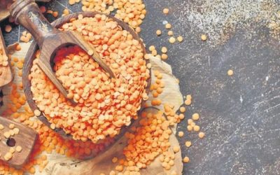 Mercimek ve Kabak Çekirdeği Bağışıklığı Güçlendiriyor