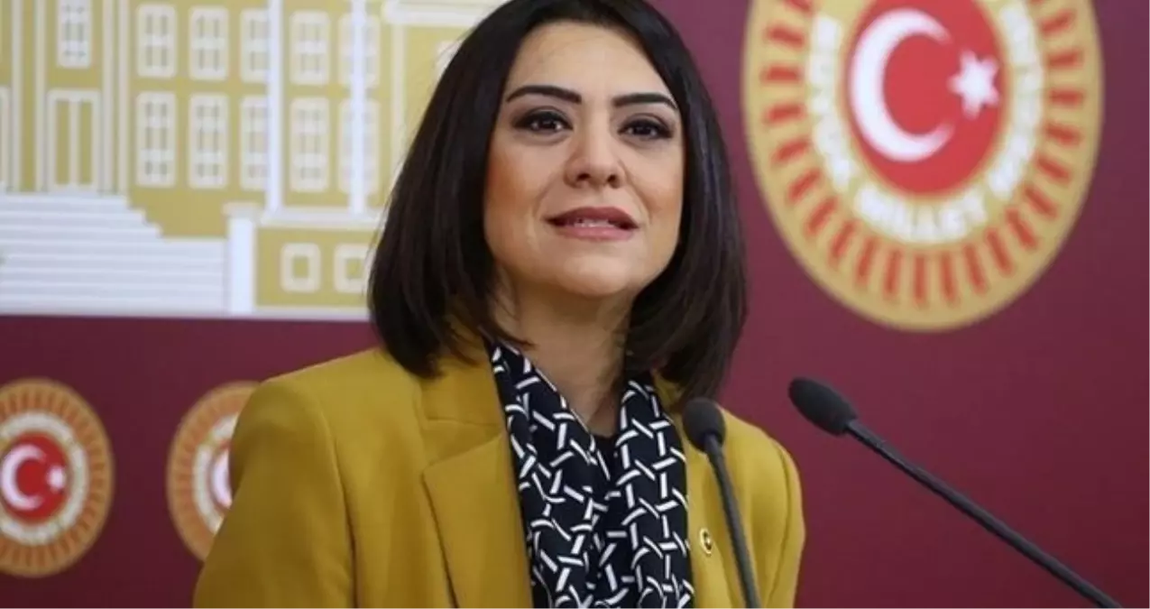 Gamze Tascier Kimdir Gamze Tascier Kac Yasinda 19309852 5650 Amp - Yazar Kadın